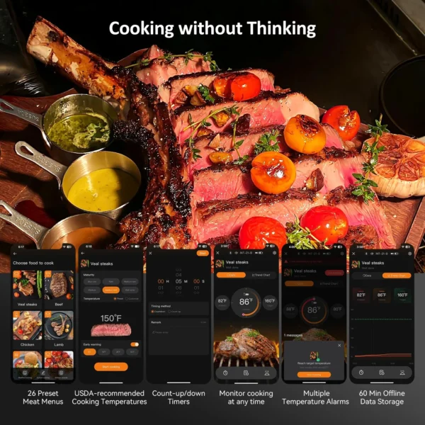 Professional Grade Ultra-Thin Probe Bluetooth Meat Thermometer INT-21-B - Image 6